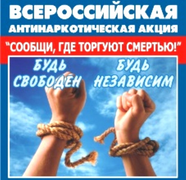 38231-2e81d60b.jpg