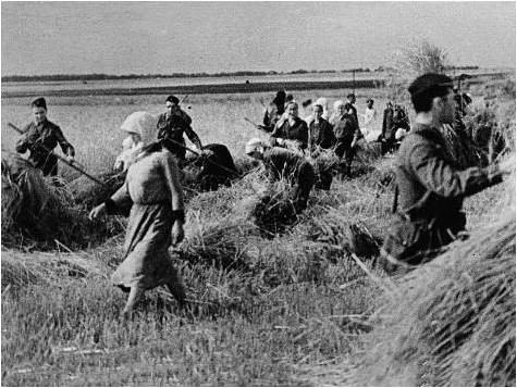 Рисунок15.jpg