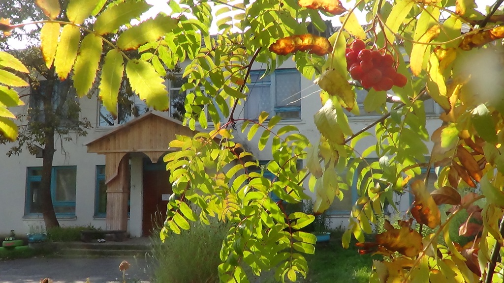 DSC07462.JPG