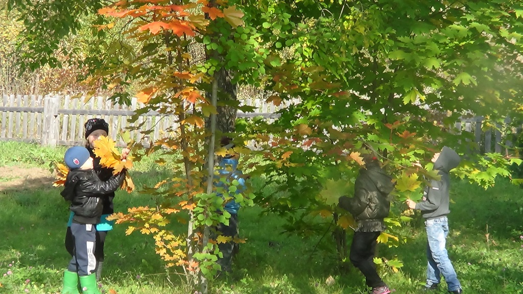 DSC07479.JPG
