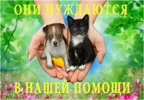 Рисунок2.gif