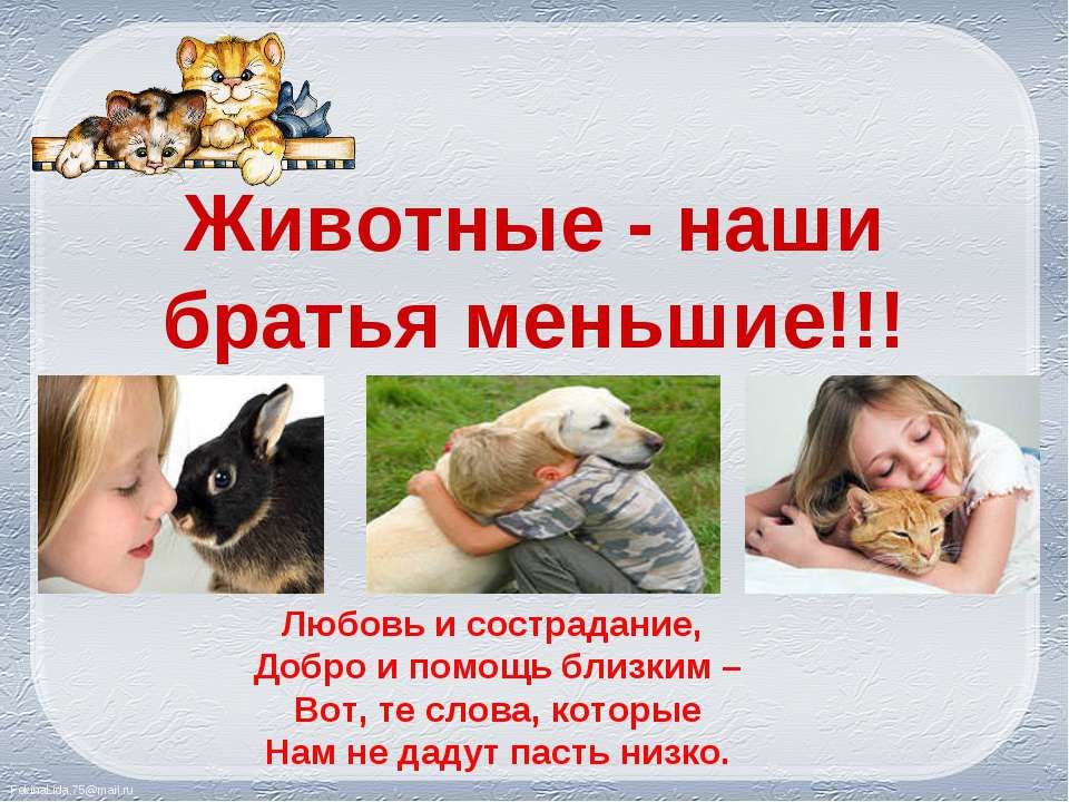 жив1.jpg