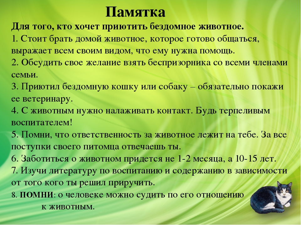 жив2.jpg
