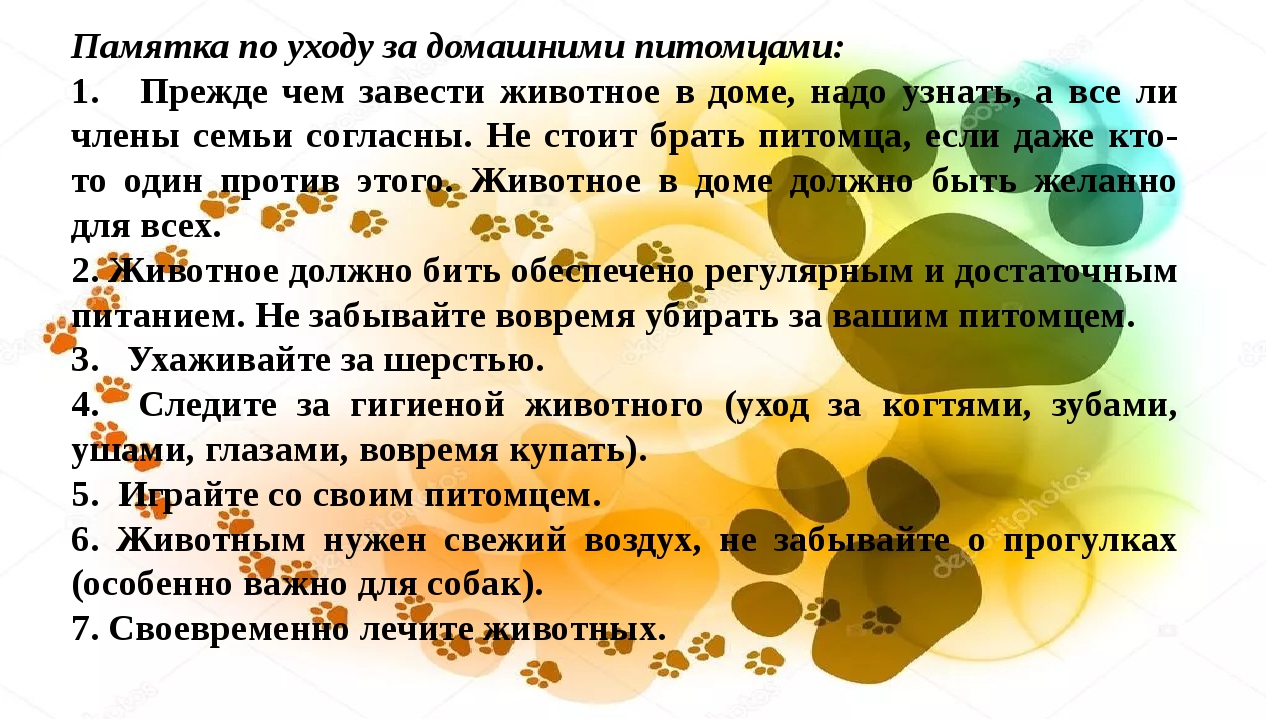 жив3.jpg