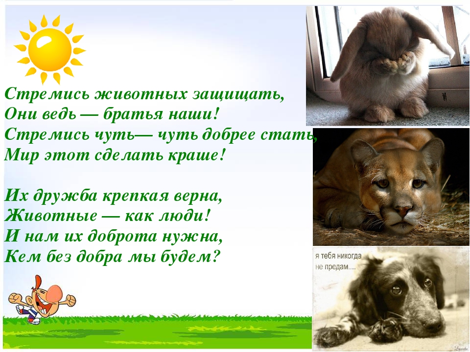 жив4.jpg