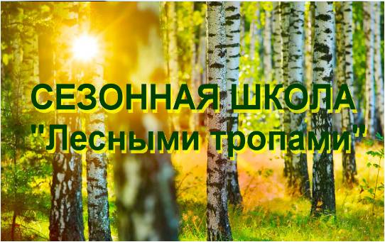 Рисунок2.jpg