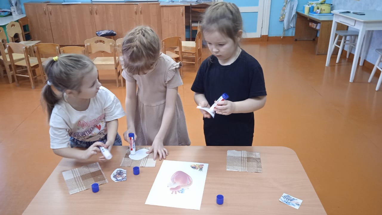 IMG-20250117-WA0009.jpg