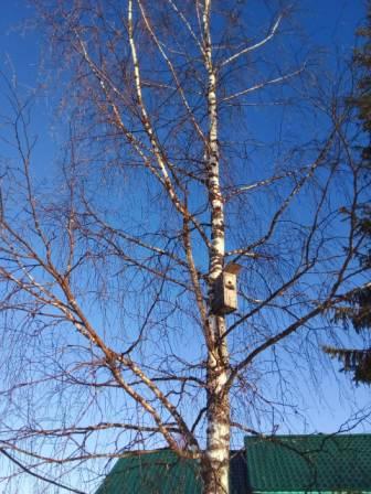 IMG-20210325-WA0035.jpg