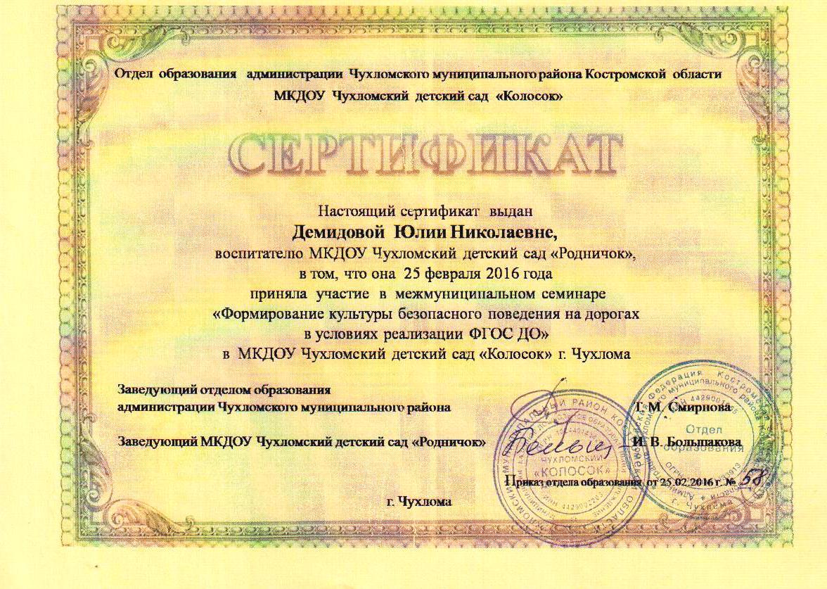 сертификат 2016.jpg