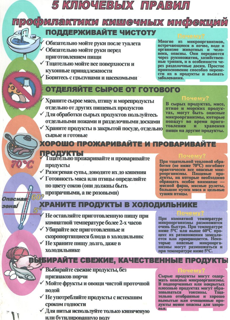 кишечные инфекции.jpg