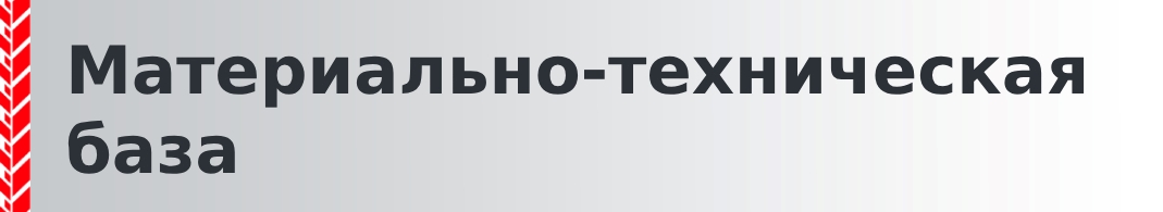 1600_800_white_6618e55e4а9df5.jpg