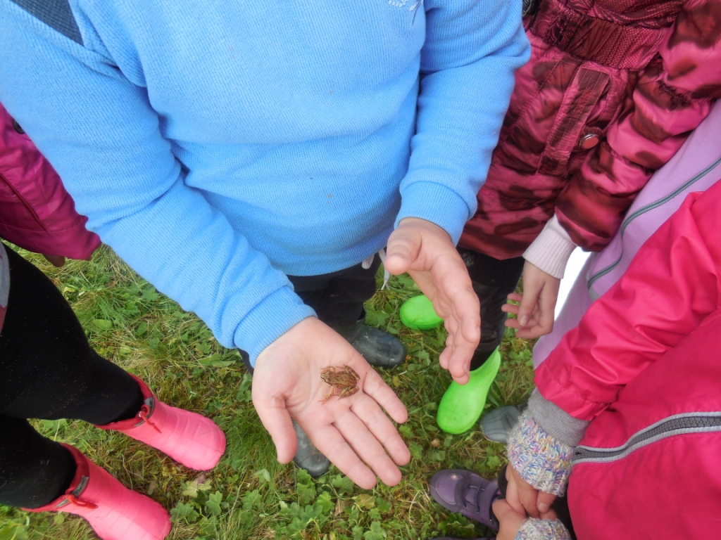 DSCN2517.JPG