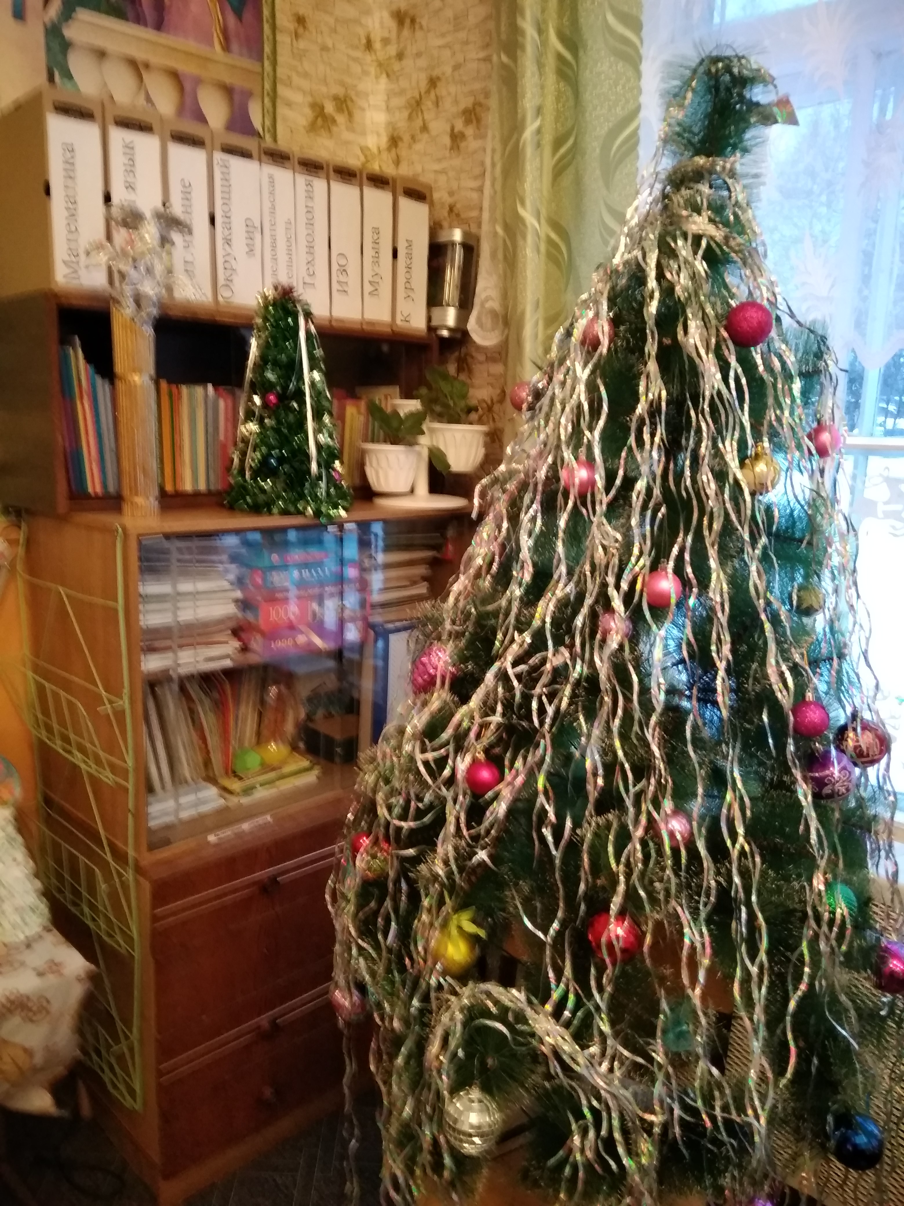 IMG_20171215_145034.jpg