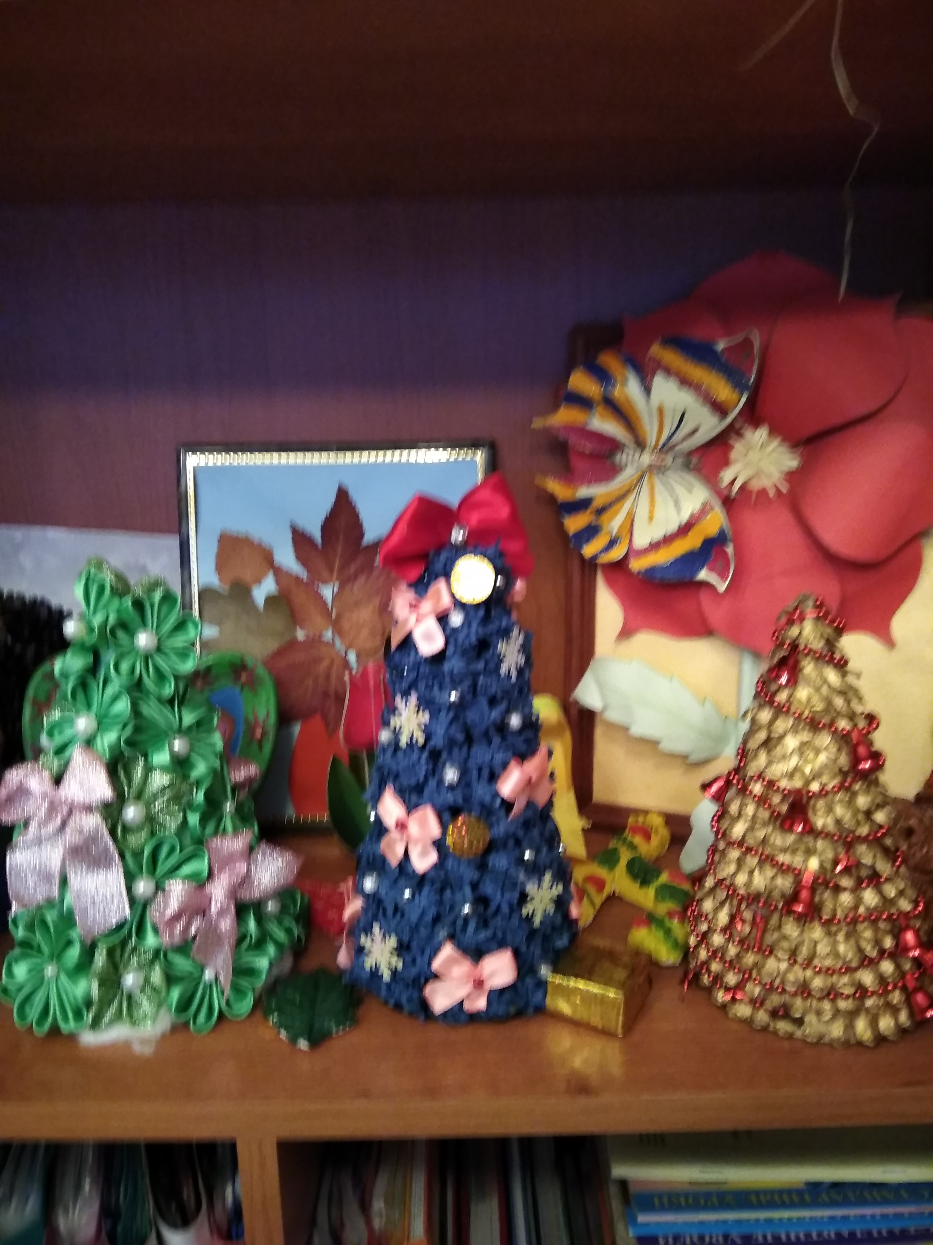 IMG_20171215_145054.jpg