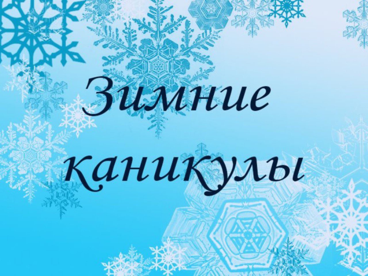 зим.jpeg