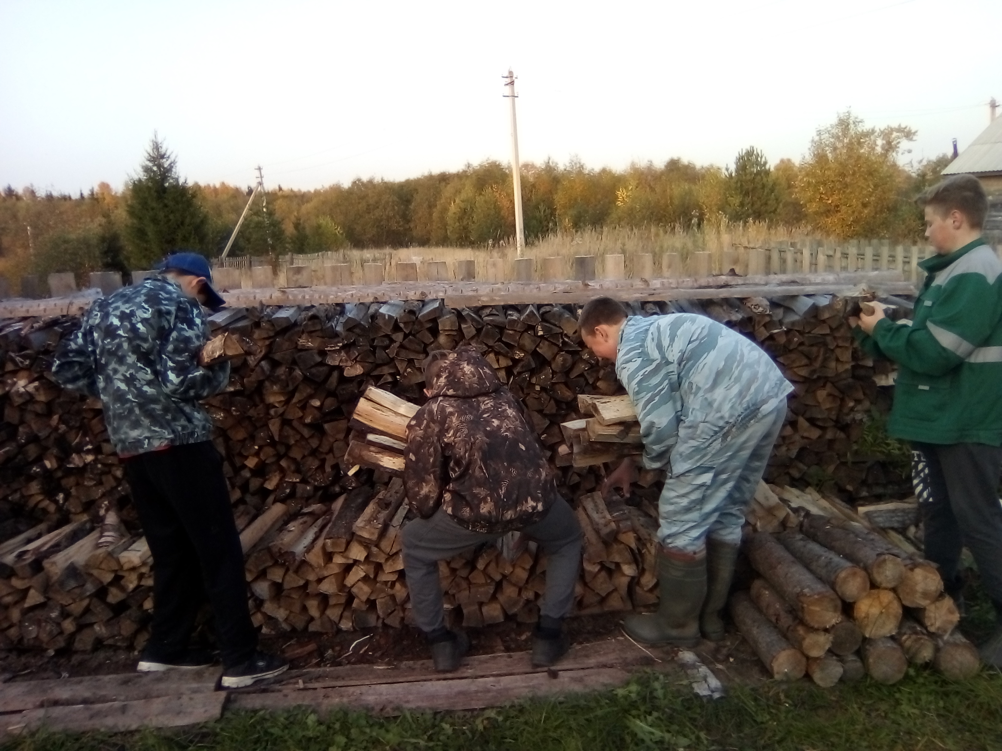 помощь учащихся 7-8 классов в переносе дров в дровяник Ловыгиной Н.А..jpg