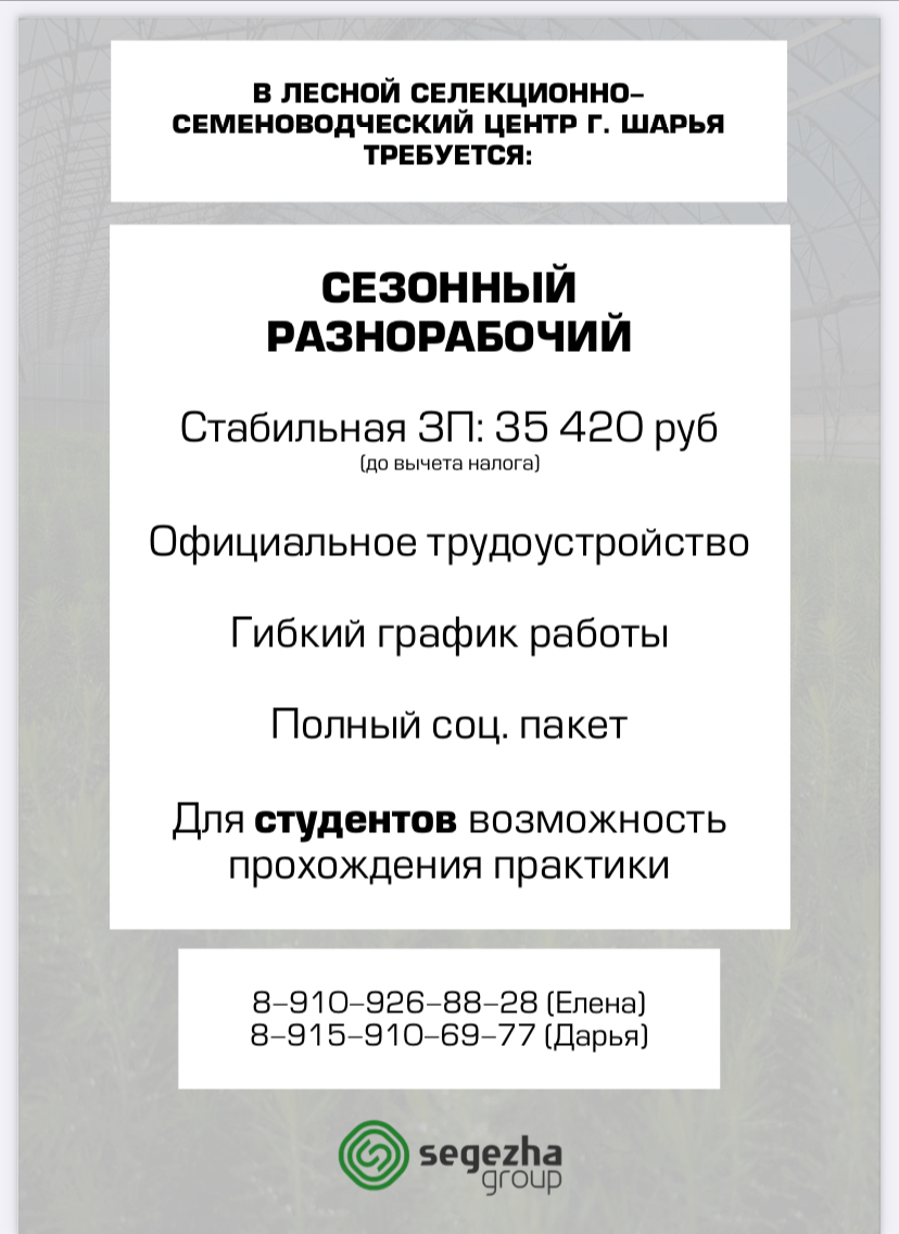 Объявление студенты.jpeg