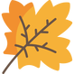 maple-leaf.png