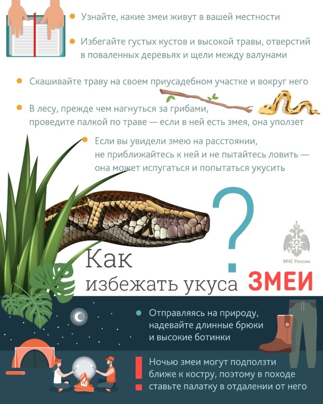 pamyatki_1668083873482289375__800x800.jpg