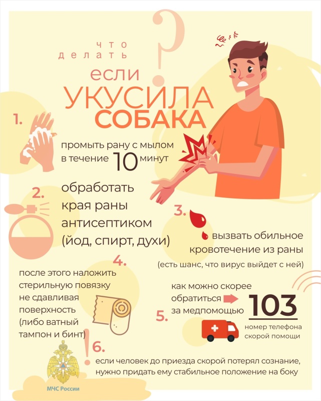 pamyatki_16680838741432665387__800x800.jpg