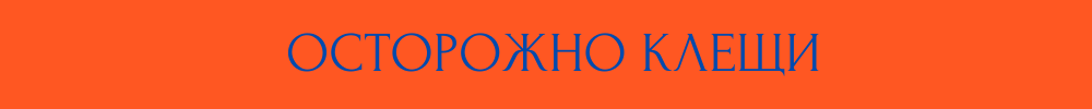 клещи.png