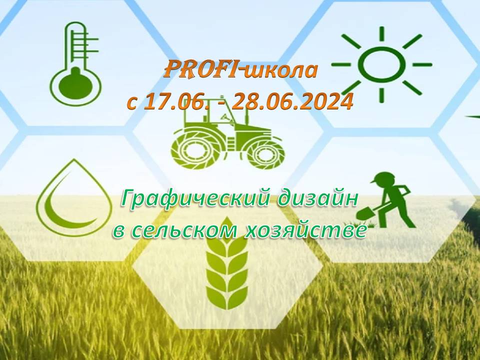 ПРОФШКОЛА.jpg