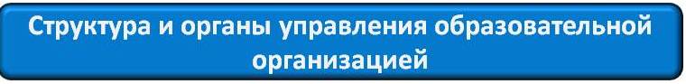 Кнопки 2024 -1.jpg