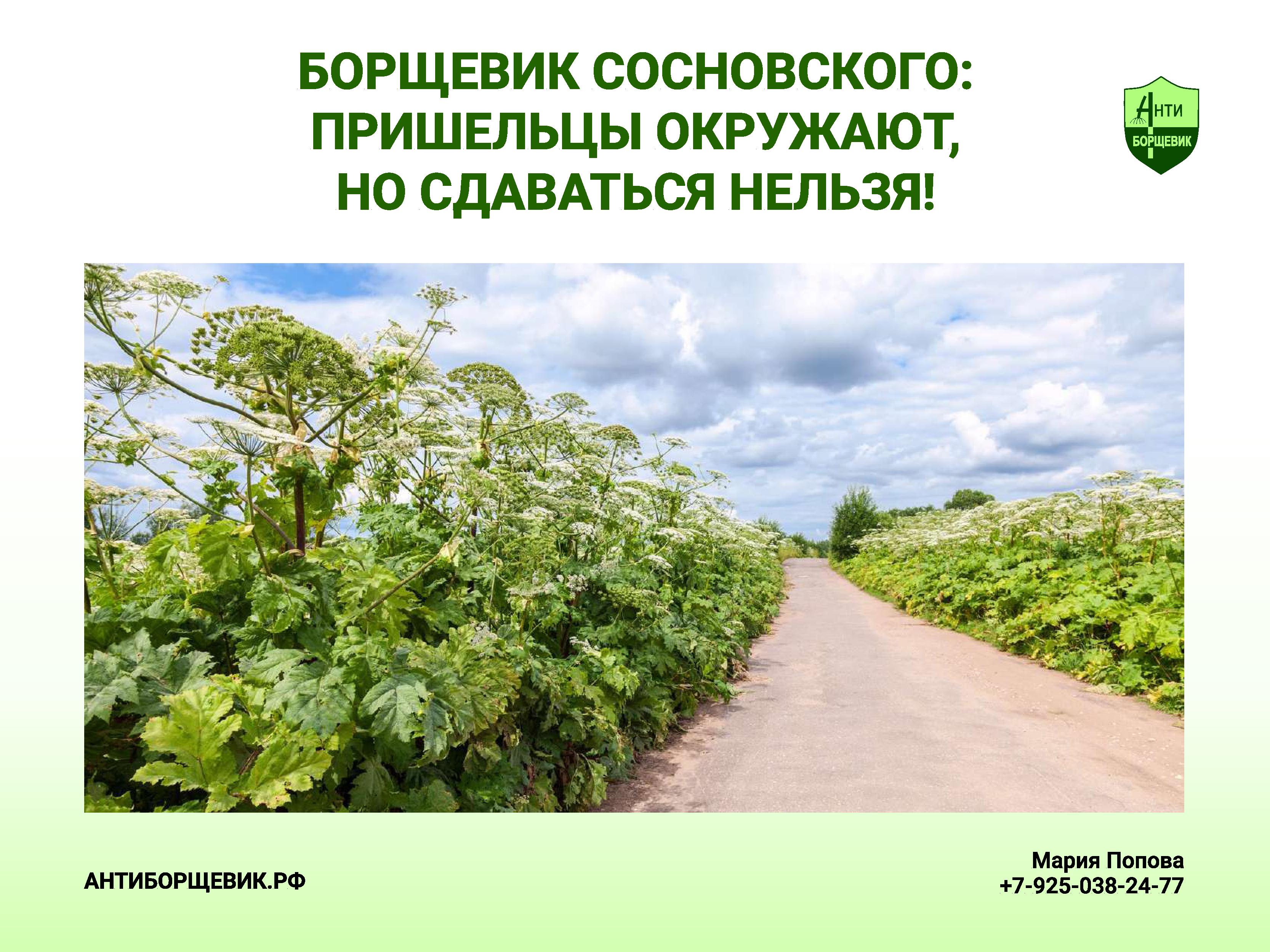 Попова про борщевик Сосновского - 0001.jpg