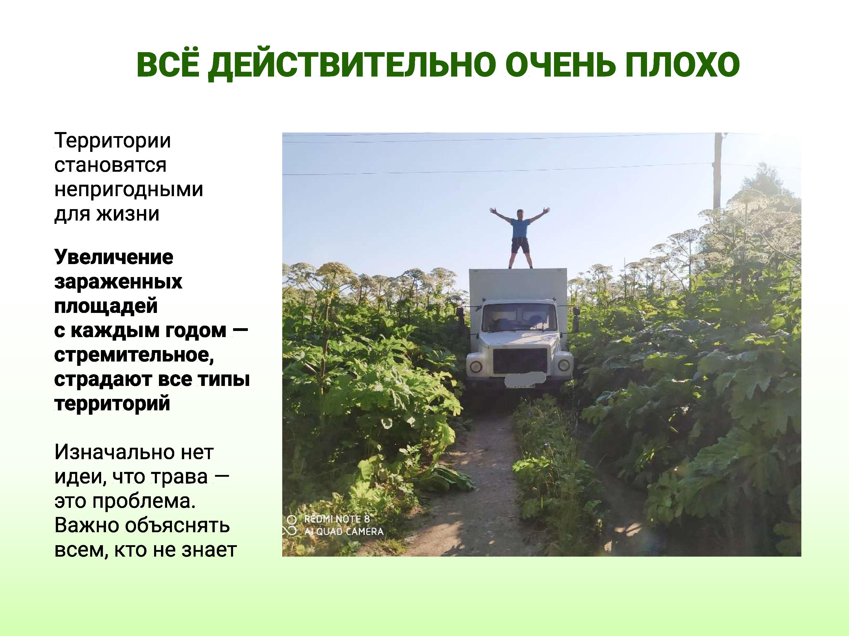 Попова про борщевик Сосновского - 0002.jpg